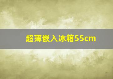 超薄嵌入冰箱55cm