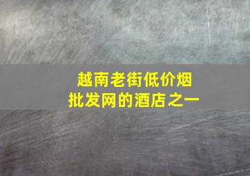 越南老街(低价烟批发网)的酒店之一