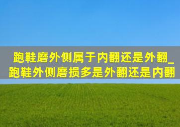 跑鞋磨外侧属于内翻还是外翻_跑鞋外侧磨损多是外翻还是内翻