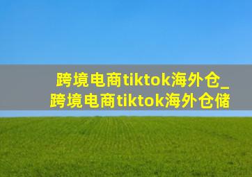 跨境电商tiktok海外仓_跨境电商tiktok海外仓储