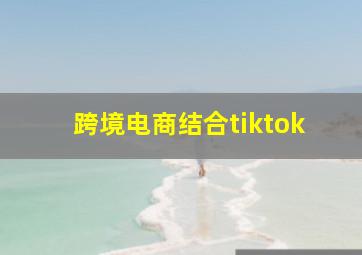 跨境电商结合tiktok