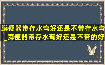 蹲便器带存水弯好还是不带存水弯_蹲便器带存水弯好还是不带的好