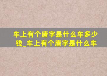 车上有个唐字是什么车多少钱_车上有个唐字是什么车