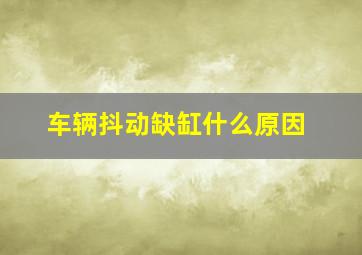 车辆抖动缺缸什么原因