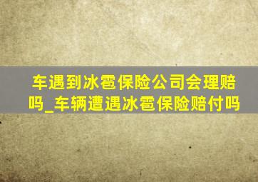 车遇到冰雹保险公司会理赔吗_车辆遭遇冰雹保险赔付吗