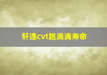 轩逸cvt跑滴滴寿命