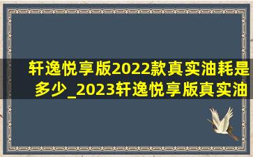 轩逸悦享版2022款真实油耗是多少_2023轩逸悦享版真实油耗多少