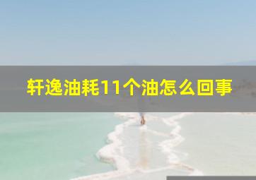 轩逸油耗11个油怎么回事