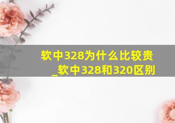 软中328为什么比较贵_软中328和320区别