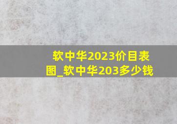 软中华2023价目表图_软中华203多少钱