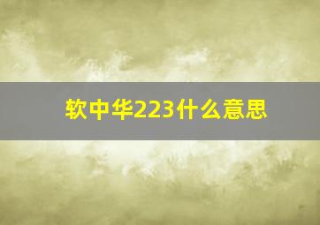 软中华223什么意思