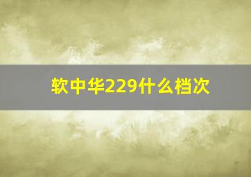 软中华229什么档次