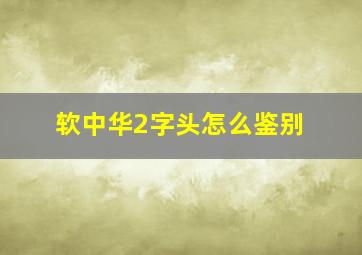 软中华2字头怎么鉴别