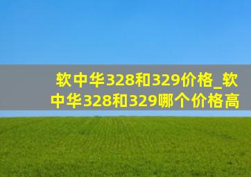 软中华328和329价格_软中华328和329哪个价格高