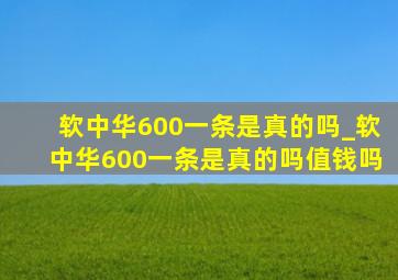 软中华600一条是真的吗_软中华600一条是真的吗值钱吗