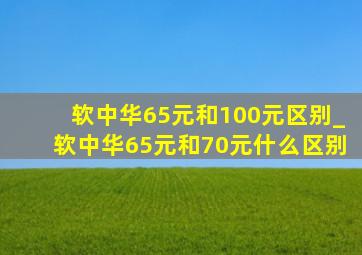 软中华65元和100元区别_软中华65元和70元什么区别