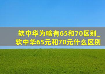 软中华为啥有65和70区别_软中华65元和70元什么区别