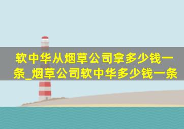 软中华从烟草公司拿多少钱一条_烟草公司软中华多少钱一条