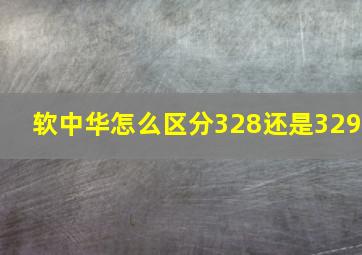 软中华怎么区分328还是329