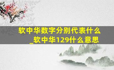 软中华数字分别代表什么_软中华129什么意思