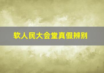 软人民大会堂真假辨别