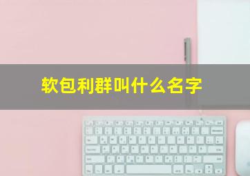 软包利群叫什么名字