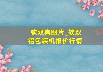 软双喜图片_软双铝包装机报价行情