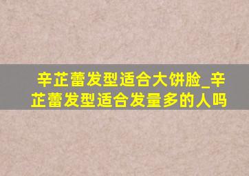 辛芷蕾发型适合大饼脸_辛芷蕾发型适合发量多的人吗