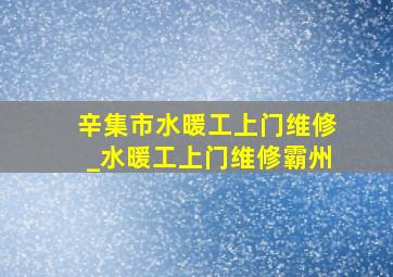 辛集市水暖工上门维修_水暖工上门维修霸州