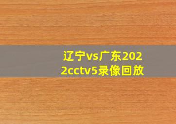 辽宁vs广东2022cctv5录像回放