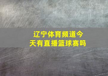 辽宁体育频道今天有直播篮球赛吗