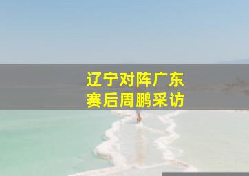 辽宁对阵广东赛后周鹏采访