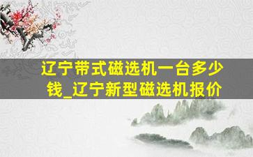 辽宁带式磁选机一台多少钱_辽宁新型磁选机报价