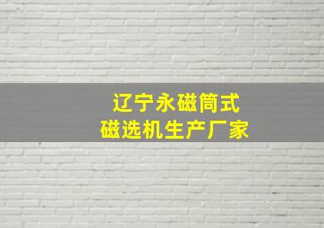 辽宁永磁筒式磁选机生产厂家