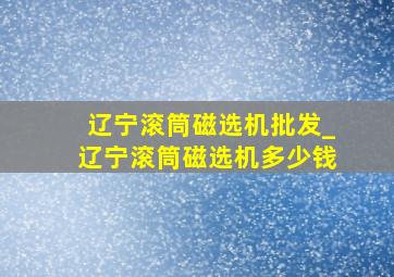 辽宁滚筒磁选机批发_辽宁滚筒磁选机多少钱