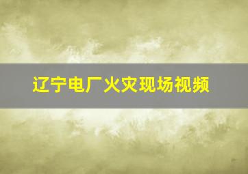 辽宁电厂火灾现场视频