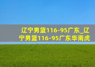 辽宁男篮116-95广东_辽宁男篮116-95广东华南虎