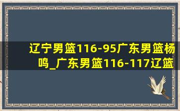 辽宁男篮116-95广东男篮杨鸣_广东男篮116-117辽篮杨鸣