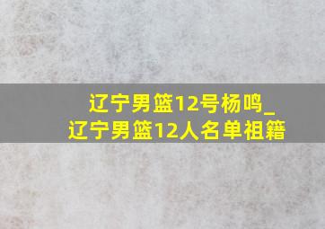 辽宁男篮12号杨鸣_辽宁男篮12人名单祖籍