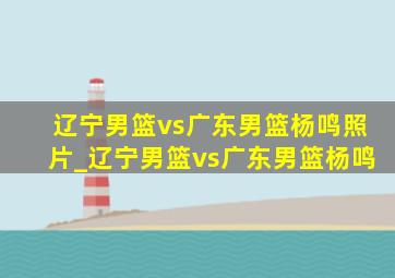 辽宁男篮vs广东男篮杨鸣照片_辽宁男篮vs广东男篮杨鸣