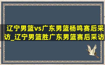 辽宁男篮vs广东男篮杨鸣赛后采访_辽宁男篮胜广东男篮赛后采访杨鸣