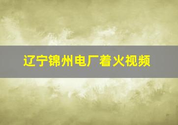 辽宁锦州电厂着火视频