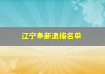 辽宁阜新逮捕名单