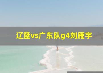 辽篮vs广东队g4刘雁宇