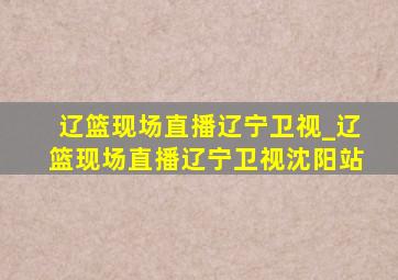 辽篮现场直播辽宁卫视_辽篮现场直播辽宁卫视沈阳站