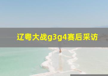 辽粤大战g3g4赛后采访