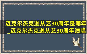 迈克尔杰克逊从艺30周年是哪年_迈克尔杰克逊从艺30周年演唱会04