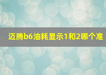 迈腾b6油耗显示1和2哪个准