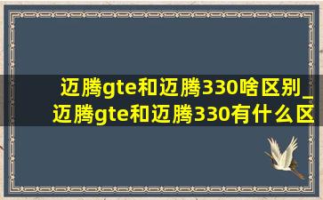 迈腾gte和迈腾330啥区别_迈腾gte和迈腾330有什么区别