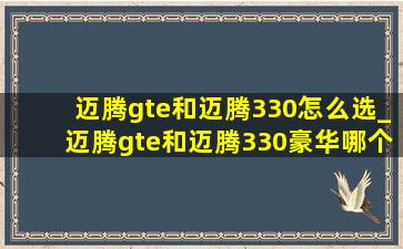 迈腾gte和迈腾330怎么选_迈腾gte和迈腾330豪华哪个动力好